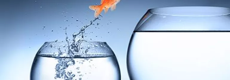 Pesce rosso salta da un acquario all'altro.