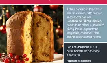 Immagine di un volantino per un evento benefico natalizio con panettone.